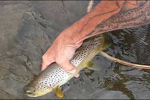 A Summer Day Fly-Fishing with Mr. Dave Rothrock, It ain't over until it's over!!