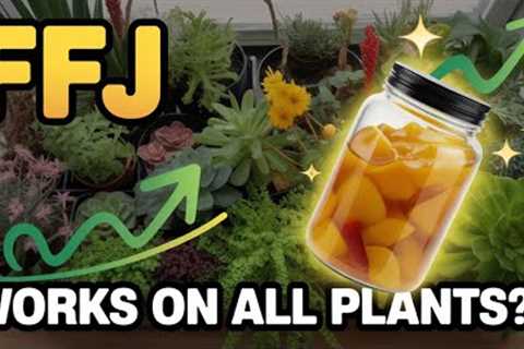 I Tried Fermented Fruit Fertilizer – Here Are The *Actual* Results!