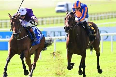 WOW! Power Blue defeats 1-4 favourite True Love in the Phoenix Stakes!