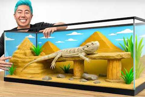 I Transformed My Pet Lizards Home!