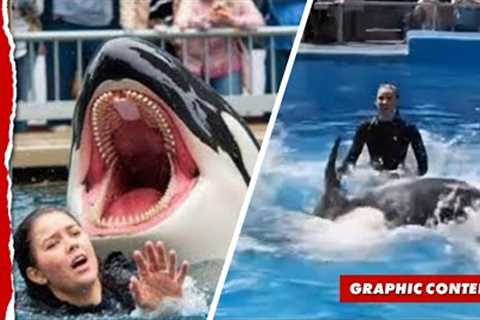 Was Orca trainer Jessica Radcliffe really killed by a killer whale? The truth about the viral story