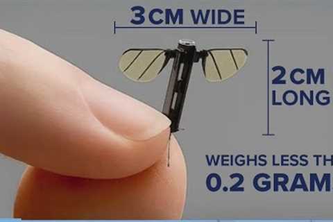 China unveils mosquito-sized drone | NewsNation Now