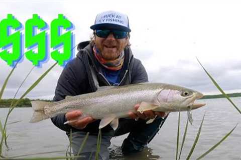Fly Fishing on a BUDGET