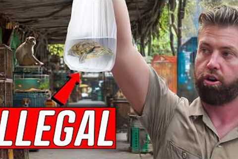 Undercover Inside an Illegal Exotic Animal Market