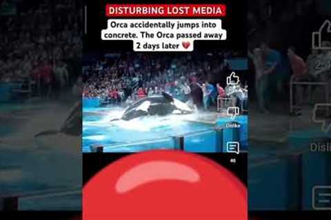 dolphins attack girl jessica #orca #reels#accident#dolphin #jessica #pakistan #india #foryou #dance