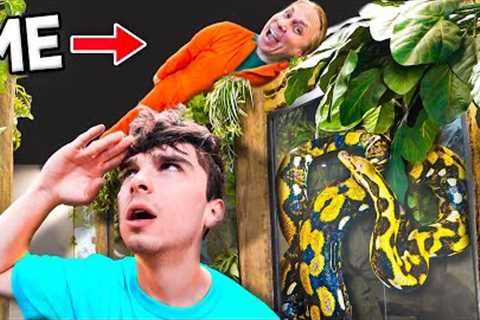 I Cheated At Hide And Seek At My Reptile Zoo!