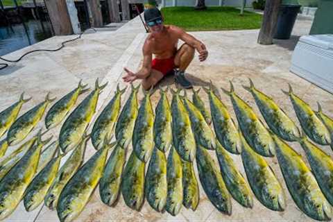 BEST Day of Dolphin fishing! Catch Clean Cook ( Florida Mahi Mahi)