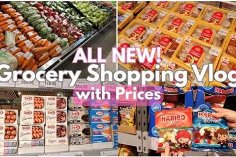 Grocery Shopping Vlog | MASSIVE haul @ Landers | Buying monthly essentials | Everyday with Ana