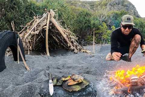 3 DAYS solo survival (NO FOOD, NO WATER, NO SHELTER) on an island with only a POCKET KNIFE