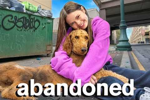 I Rescued a LOST DOG! Will I Keep Him?