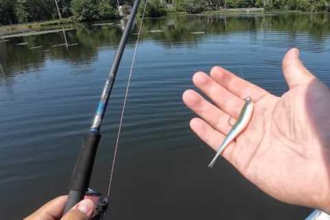 Beating Tough Conditions with My Hobbyist x Witch Doctor Rod! (Fishing Rod Masterclass)
