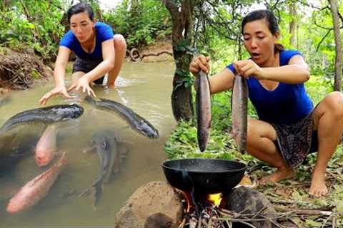 Survival skills/ Catch fish in rainforest- Cooking fish crispy for lunch eating delicious