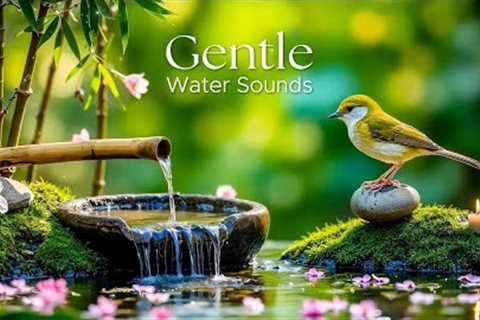 Healing Music for Anxiety Disorders, Meditation Music, Nature Sounds, Reduce Stress, Calming Music