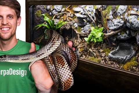 15 Year Old Snake Needed a New Home - Dean's Story