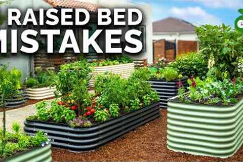 9 Beginner Raised Bed Garden Mistakes to Avoid