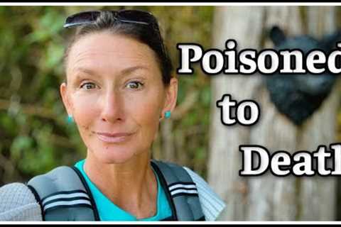 ☠️ We Are Poisoned to Death ☠️ 