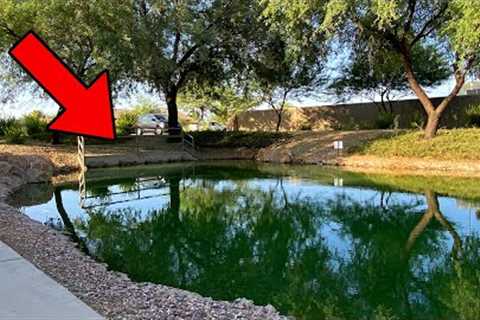 Are There Fish Living In This PUDDLE? (Surprising)