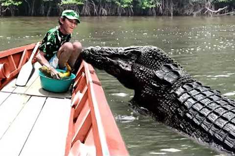 Most Emotional Animal Reunions With Owners After Years!