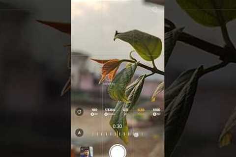 Creative Photography Tips and Trick with Phone using pro Mode | Mobile Photography Hacks