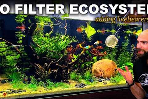 ADDING FISH TO THE ECOSYSTEM: ULTRA BUDGET AQUARIUM