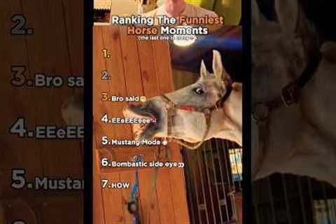 Top 7 Funniest Horse Fails and Moments!