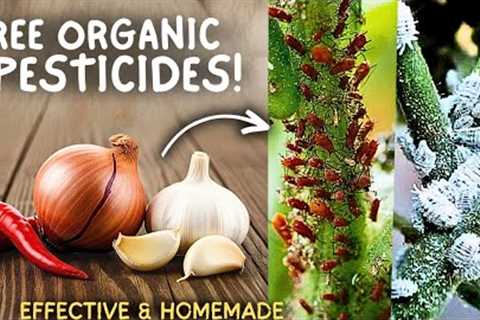 5 Natural Kitchen Based Pesticides For Vegetable Plants! (All Organic) 
