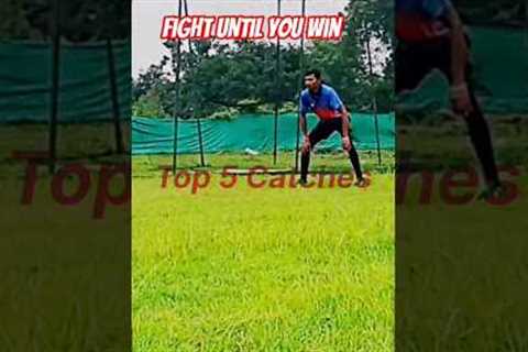 💪🔥fight until you win #cricket #viral shorts #trending #cricketgear #sports #independenceday .