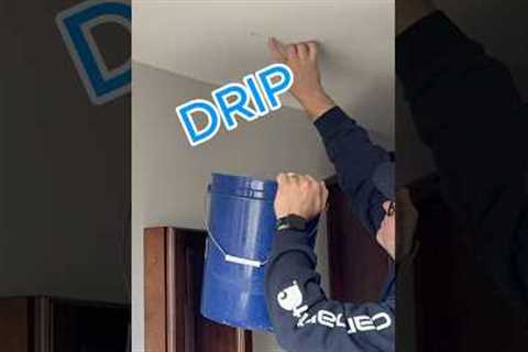 Fixing a Roof Leak: DIY Repair Tips for Homeowners