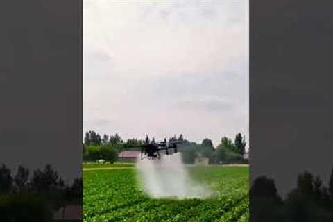 Drone Technology in Agriculture #technology