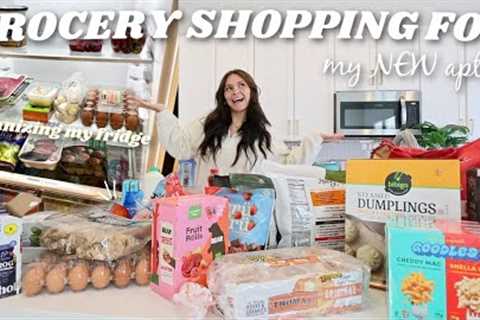 come GROCERY SHOPPING with me *for my new apartment* + haul and organizing my kitchen