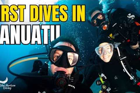 We Went Scuba Diving In Vanuatu!