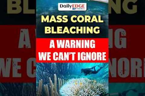 Daily Edge By Vision | Mass Coral Bleaching Event in Australia
