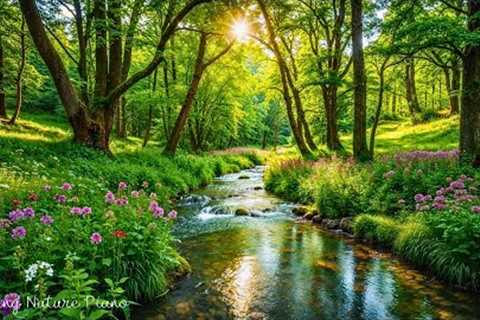 Nature’s Most Relaxing Soundtrack 🌿 Healing Relaxing Music for Stress, Calming Music for Peace