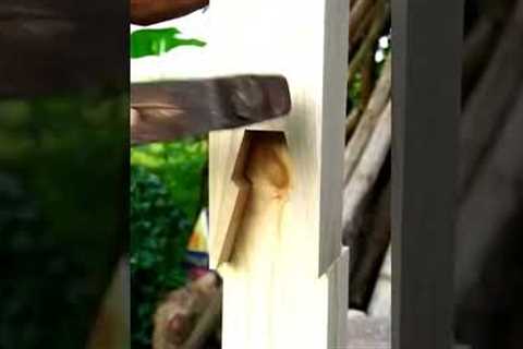 Awesome No Screw With Japanese Woodworking Joints #shorts