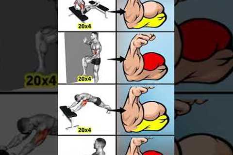 No equipment arm workout !! Biceps Workout Without Equipment !! No Equipment Workout !!