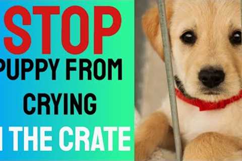 Stop Puppy From Crying in the Crate - Crate Training Tips