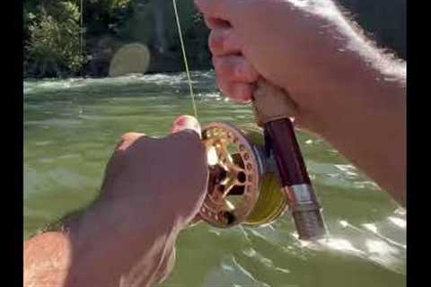 What Every Fisherman DREAMS About!