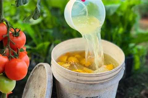 How Orange Peels Can Protect Your Garden from Bugs and Boost Growth!