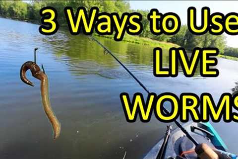 How to Catch a Fish With a Live Worm for Bait - 3 Ways (Beginner Fishing Tips)