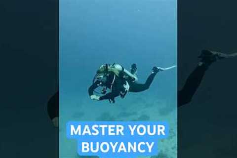 The Secret to Perfect Buoyancy While Scuba Diving