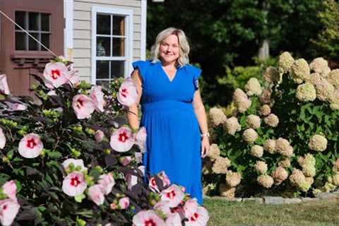 Full August 2025 Garden Tour. Stunning Color in the Late Summer Landscape