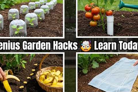 Gardening Hacks You'll Wish You Knew Sooner🔥