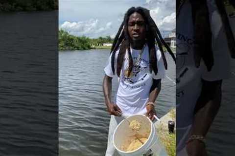 Secret bait recipe for BIG fish #hoodfishing