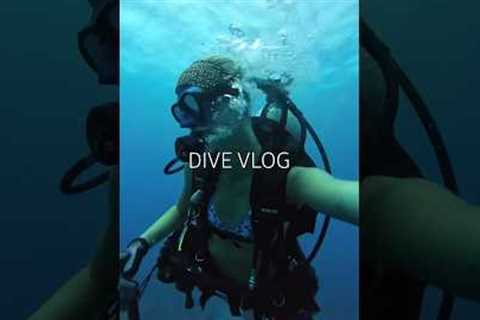 dive vlog kinda #florida #diving #scubadiving #beach #ocean #travel #nature #boat #fishing #boating