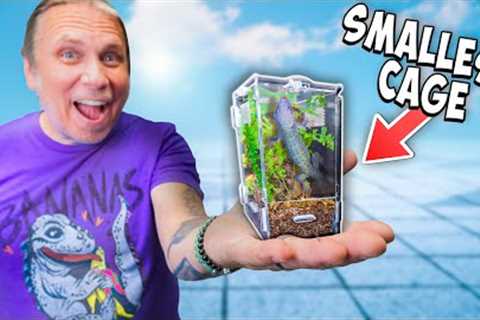 I Bought The Smallest Reptile Cage On The Internet