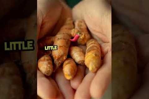 Best Foods for Managing Diabetic Neuropathy | Reduce Nerve Pain Naturally