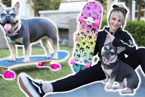 Just Me Teaching My Dog To Skateboard