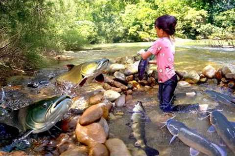 Little Girl’s Fishing Skills | How to Make a Stone Fish Trap on a Stream to Catch Big Catfish