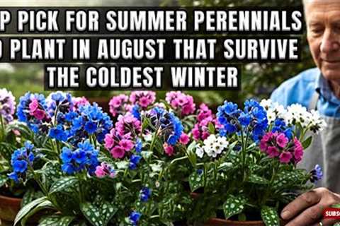 Top Summer Perennial Container Plants You Can Still Plant in August That Survive Winter Try Them Now