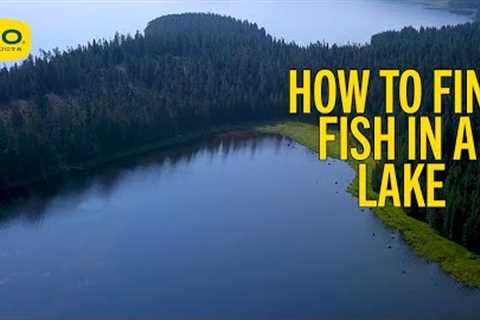 How To Find Fish In A Lake